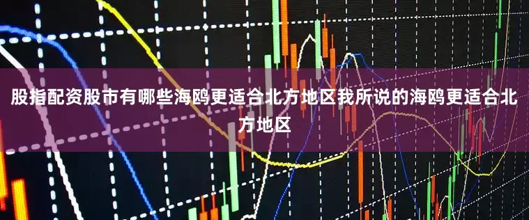 股指配资股市有哪些海鸥更适合北方地区我所说的海鸥更适合北方地区