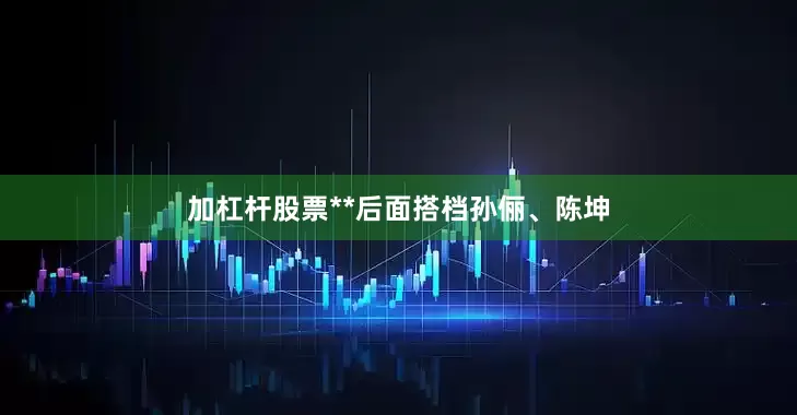 加杠杆股票**后面搭档孙俪、陈坤