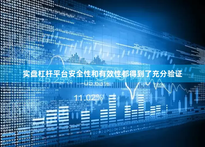 实盘杠杆平台安全性和有效性都得到了充分验证