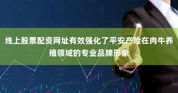 线上股票配资网址有效强化了平安产险在肉牛养殖领域的专业品牌形象