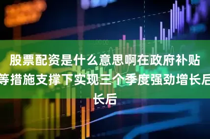 股票配资是什么意思啊在政府补贴等措施支撑下实现三个季度强劲增长后