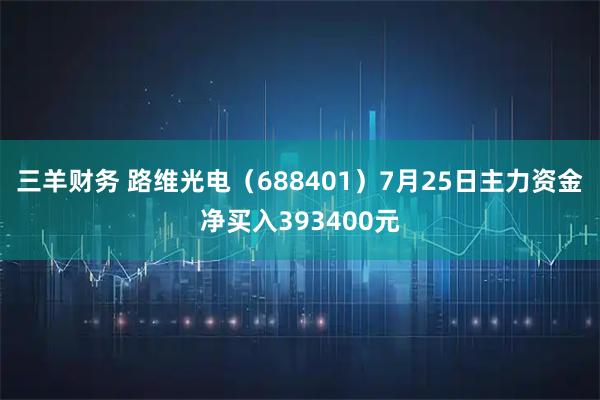 三羊财务 路维光电（688401）7月25日主力资金净买入393400元