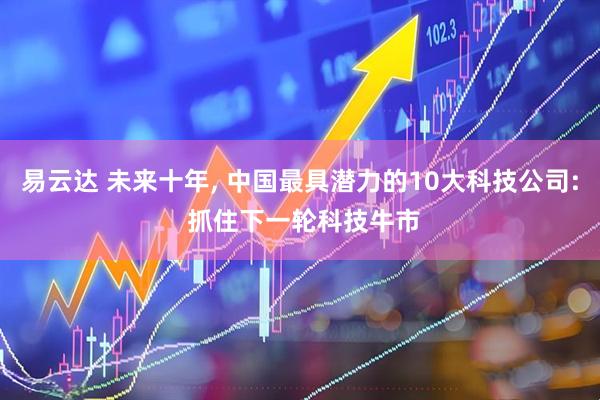 易云达 未来十年, 中国最具潜力的10大科技公司: 抓住下一轮科技牛市