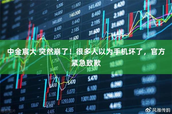 中金宸大 突然崩了！很多人以为手机坏了，官方紧急致歉