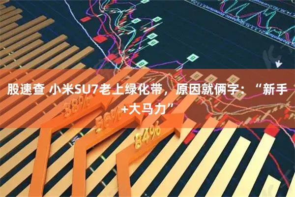 股速查 小米SU7老上绿化带，原因就俩字：“新手+大马力”